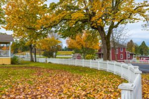 2025 Fun Fall Fling Meet-Up @ Gallerin Farms